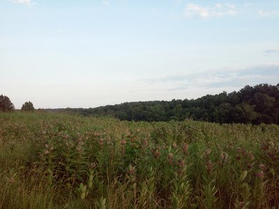 20160612 - Merritts Pasture 2