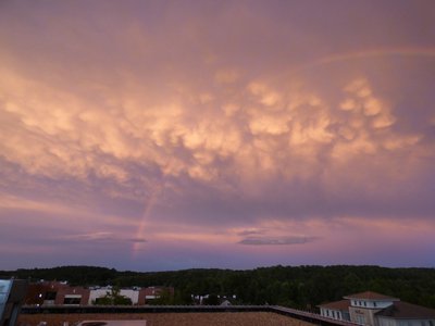 20160821 - roof 1