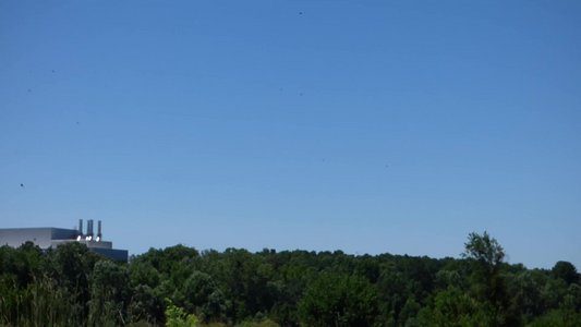 20170730 - Prairie Ridge - Chimney Swifts