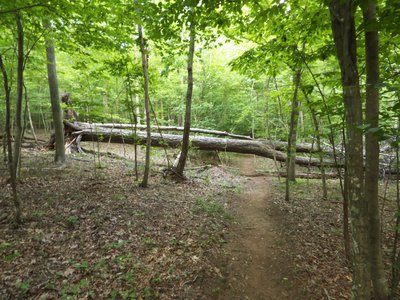 20170615 - New Hope Creek Trail