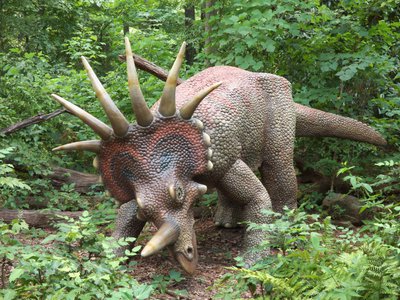 20170722 - DMLS Dinosaur Trail - Styracosaurus