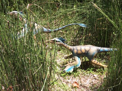 20170722 - DMLS Dinosaur Trail - Troodon