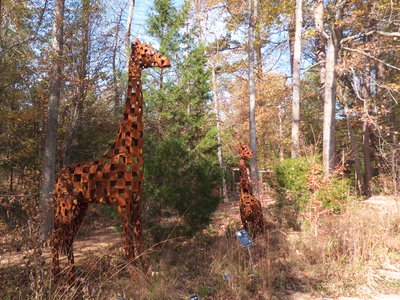 20171118 - NCBG - Giraffe Sculptures