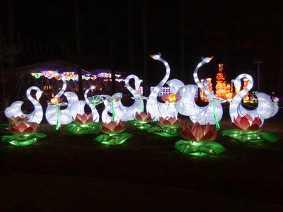 20180110 - Chinese Lantern Festival - 03 - Crystal Swan