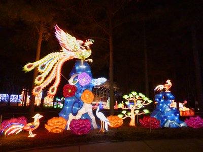 20180110 - Chinese Lantern Festival - 04 - Color Phoenix 2