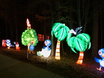 20180110 - Chinese Lantern Festival - 05 - Happy Birds 1