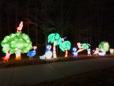 20180110 - Chinese Lantern Festival - 05 - Happy Birds 2