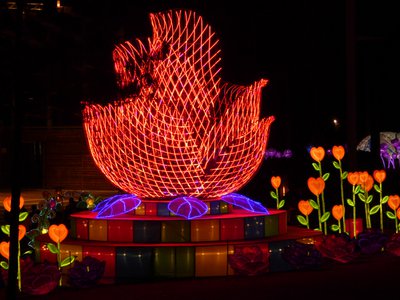 20180110 - Chinese Lantern Festival - 11 - Romantic Roses 1