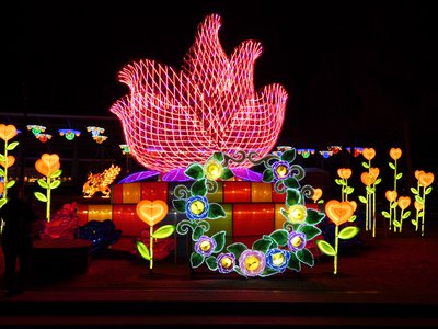 20180110 - Chinese Lantern Festival - 11 - Romantic Roses 3