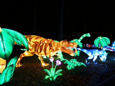 20180110 - Chinese Lantern Festival - 12 - Dinosaur World 1