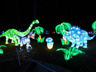 20180110 - Chinese Lantern Festival - 12 - Dinosaur World 2