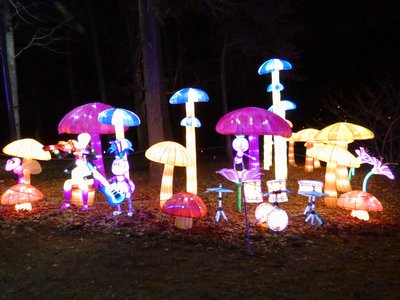 20180110 - Chinese Lantern Festival - 13 - Forest Concert