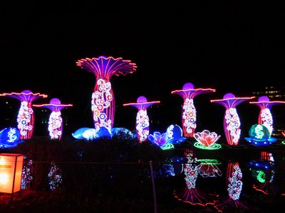 20180110 - Chinese Lantern Festival - 15 - Dreamy Flowers 1