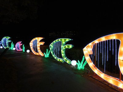 20180110 - Chinese Lantern Festival - 17 - Sea World