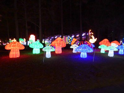 20180110 - Chinese Lantern Festival - 18 - Caterpillar 1