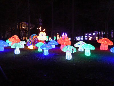 20180110 - Chinese Lantern Festival - 18 - Caterpillar 2