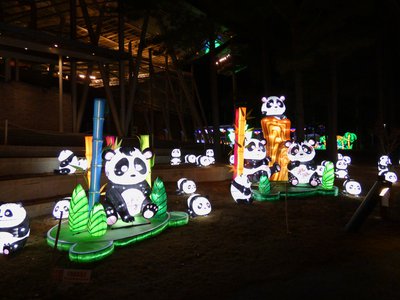 20180110 - Chinese Lantern Festival - 19 - Panda Paradise