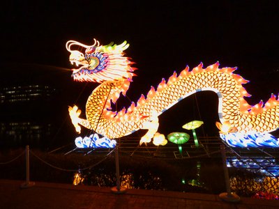 20180110 - Chinese Lantern Festival - 20 - Chinese Dragon 1