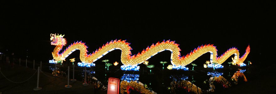 20180110 - Chinese Lantern Festival - 20 - Chinese Dragon 2