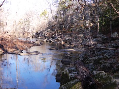 20180113 - Korstian - New Hope Creek bluff