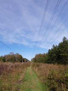 20181023 - Johnston Mill - Old Field Bluff Trail