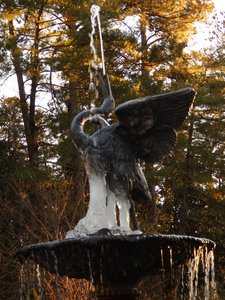 20190122 - Duke Gardens - Fountain 2