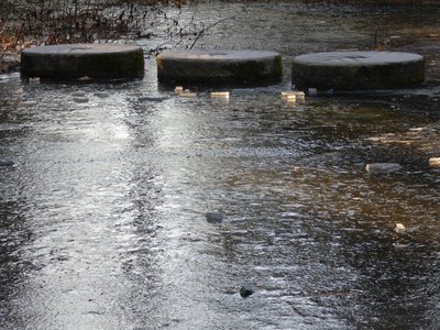 20190122 - Duke Gardens - Pond Ice