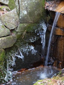 20190122 - Duke Gardens - Waterfall Ice