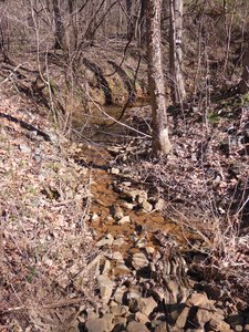 20190306 - Haw River - Creek