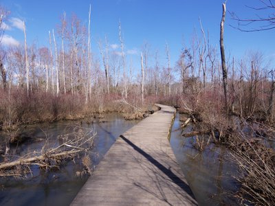 20190306 - Haw River - Haw River Boardwalk