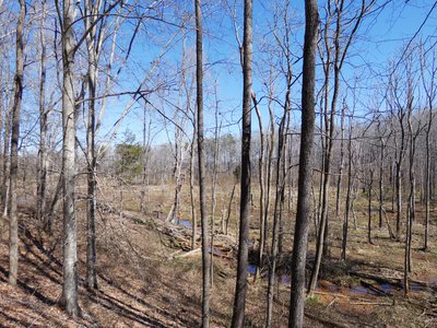 20190306 - Haw River - Iron Ore Belt trail loop 1