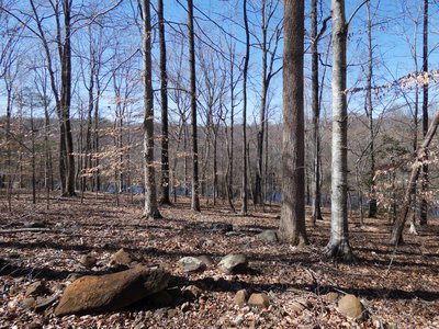 20190306 - Haw River - Iron Ore Belt trail loop 2