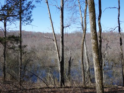 20190306 - Haw River - Iron Ore Belt trail loop 3