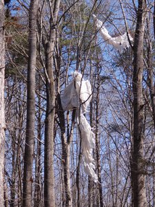 20190306 - Haw River - Storm Debris