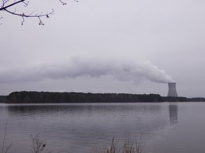 20190309 - Harris Lake - Cooling Tower 1