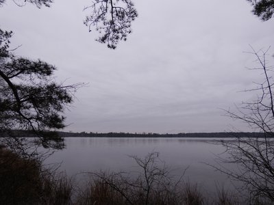 20190309 - Harris Lake - Trail 4