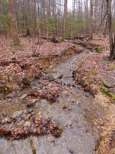 20190310 - Eno River - Trail 2