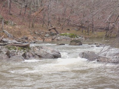 20190310 - Eno River - Trail 3