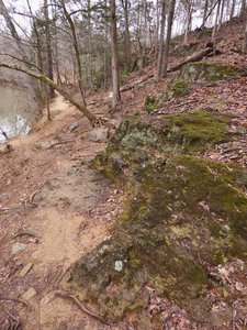 20190310 - Eno River - Trail 4