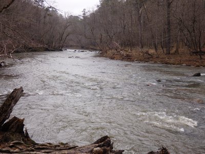 20190310 - Eno River - Trail 6