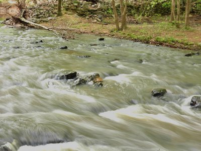 20190421 - Johnston Mill - New Hope Creek 1