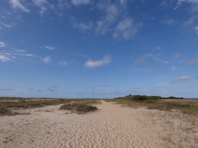 20190507 - Fort Fisher - Beach and Marsh