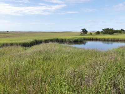 20190507 - Fort Fisher - Salt Marsh