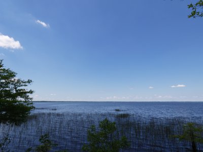 20190508 - Lake Waccamaw - Lake