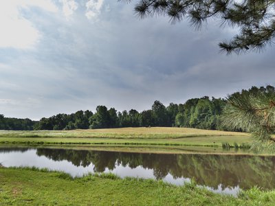 20190602 - Blackwood Farm  - Pond