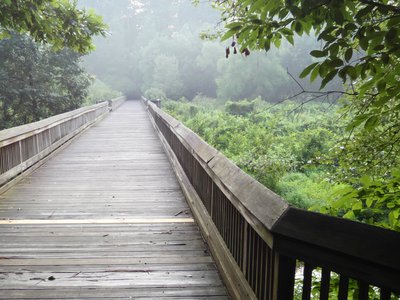 20190716 - Yates Mill - Boardwalk