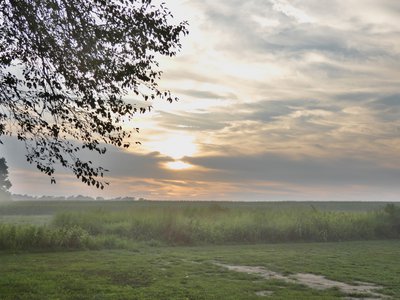 20190716 - Yates Mill - Sunset