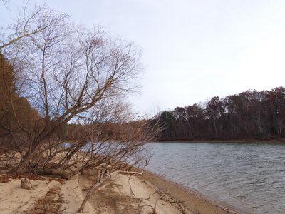 20191128 - Kerr Lake - Beach 2