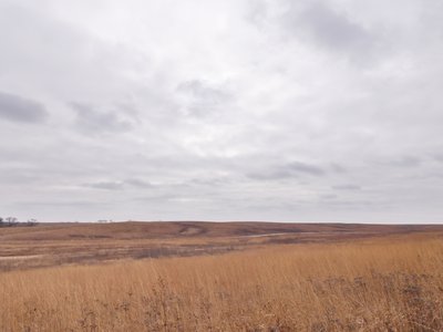 20191214 - Neal Smith Refuge - Prairie 2