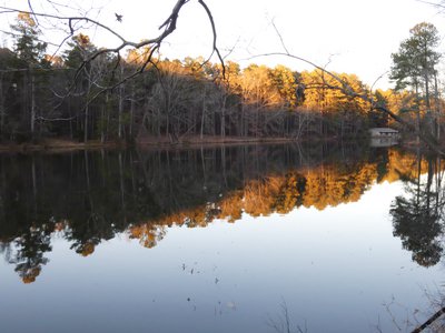 20200105 - Durant Nature Preserve - Lake